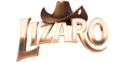 Lizaro logo